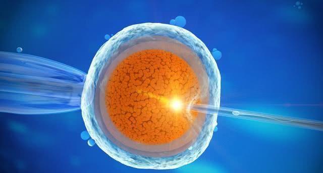 在美国做试管婴儿胚胎移植后要注意什么？