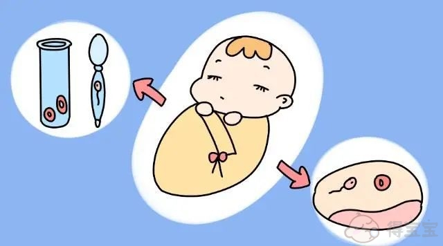 郑州第三代试管婴儿的费用是多少？ 需要10万人民币吗？