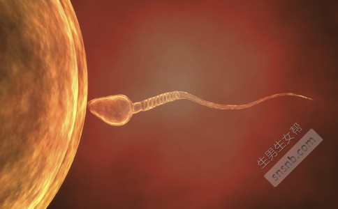 超级精子会导致不育吗 拥有超级精子的危害 超级精子有哪些危害