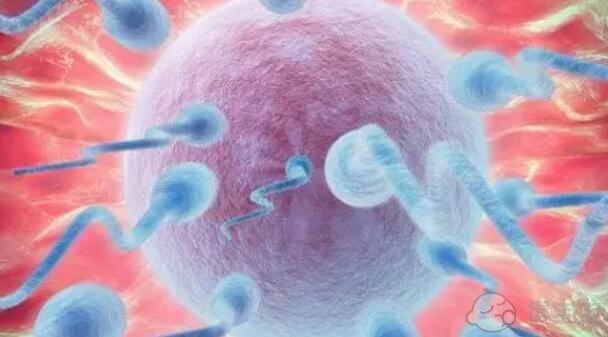 胚胎移植的子宫内膜厚度是多少？
