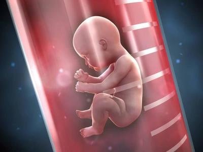 兰州借卵试管-乌克兰三代试管婴儿：提高受孕几率的最佳方案。
