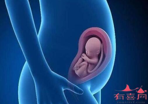 温州供卵助孕中心：受精卵诞生时的6种感觉是什么？