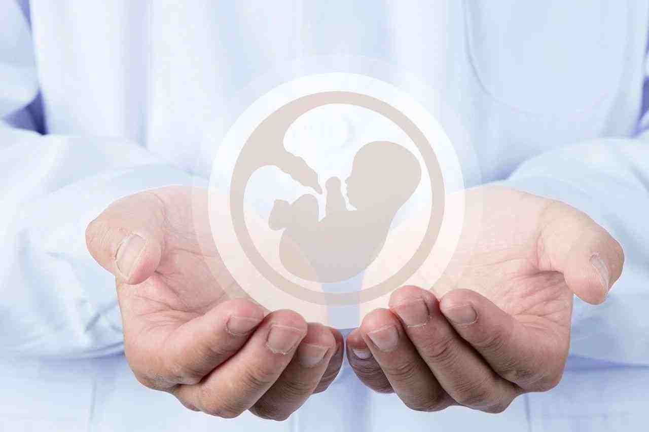哈尔滨助孕50万起-2023年滨州医学院附属医院试管婴儿的成功率是多少？附费用明细!
