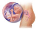 南阳助孕生殖中心-健康宝宝到来的必备条件
